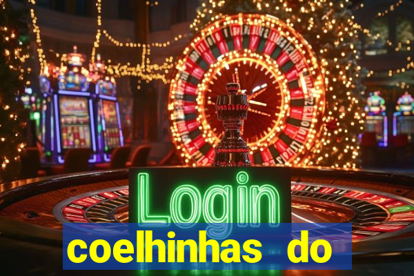 coelhinhas do brasil recife